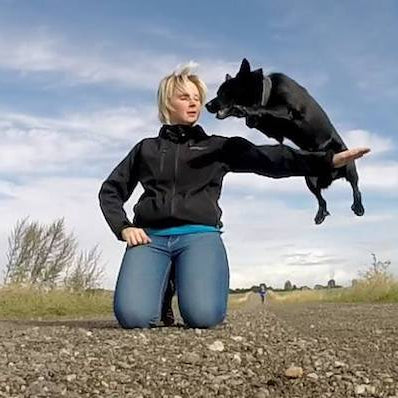 Beginner's guide to Dog Parkour (everything you need to know)