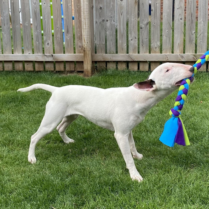 3 Best Toys For English Bull Terriers: Our Top Picks