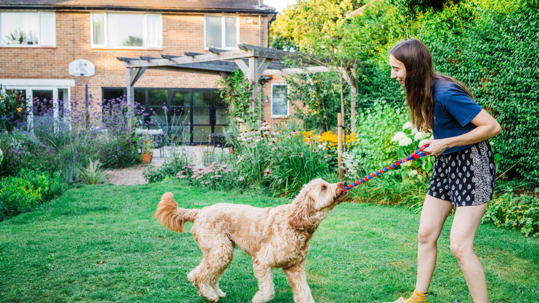 35 fun dog facts backed by science (don’t miss #12)