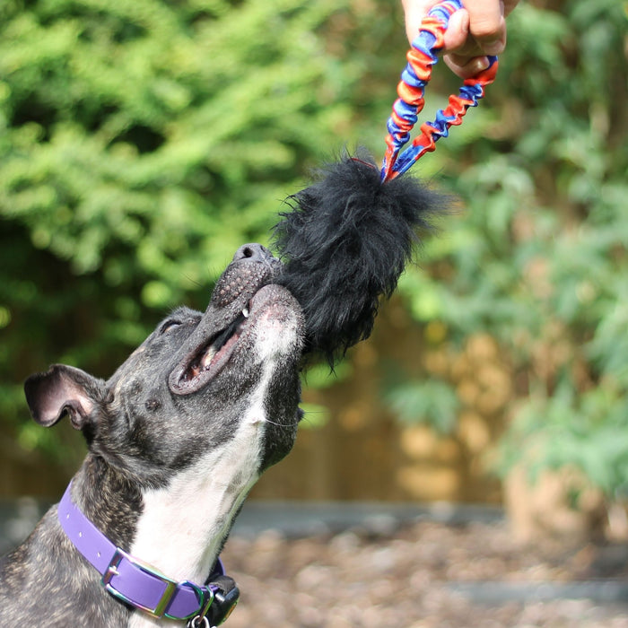 Our Top Toy Picks: Best Toys For Staffies