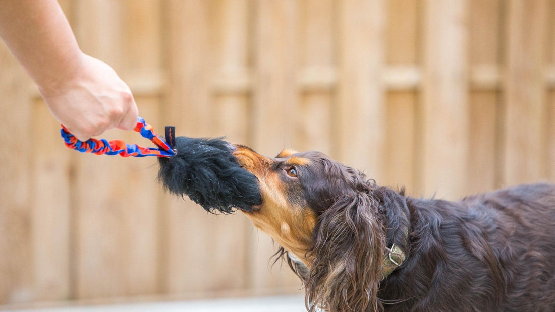 3 Fun Ways To Use The Pocket Magnet