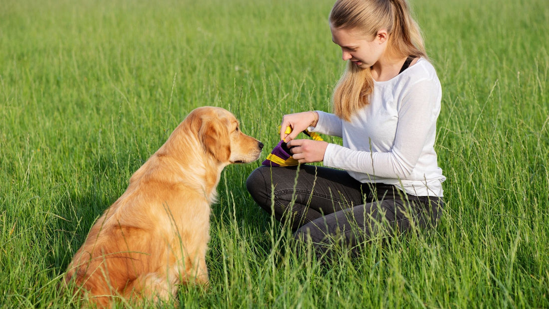 4 Easy Ways To Keep Your Dog Happy and Active