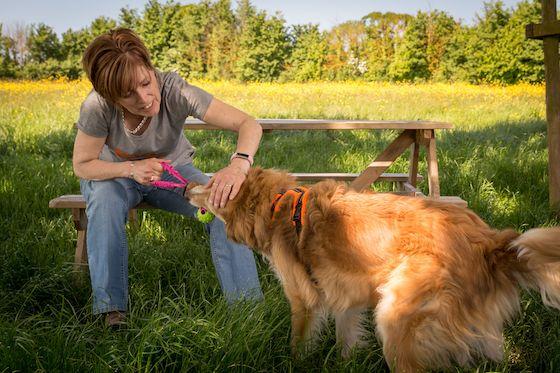 5 Signs Your Dog Needs Interactive Play