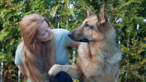Canine Cohesion: How One Woman is Bringing Dogs and Their Owners Closer Together
