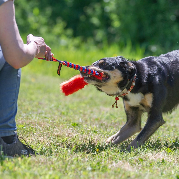 Why Our Tuggies Are Only For One Dog At a Time