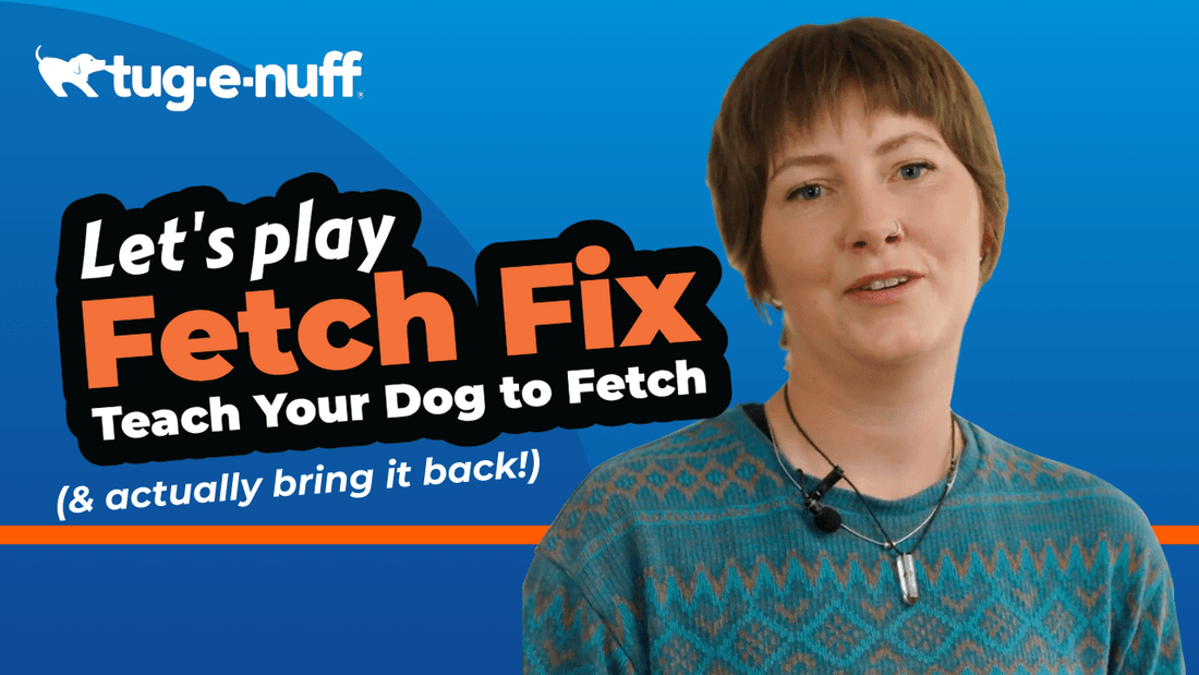 Fetch Fix: How to teach your dog to fetch (& actually bring the toy back!)
