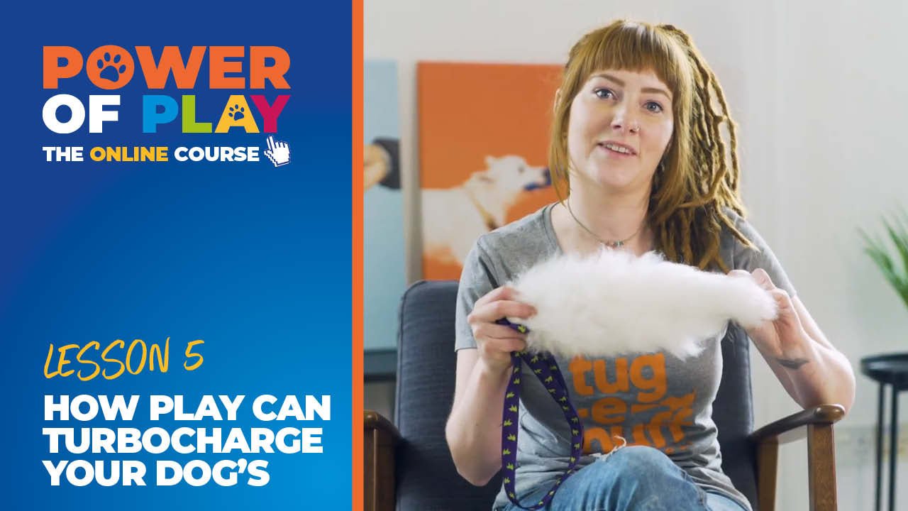 Lesson 5: How Play Can Turbocharge Your Dog’s Training
