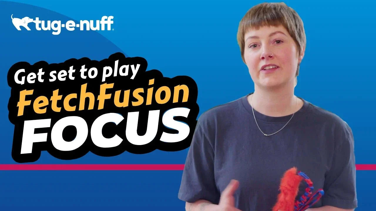 Fetch Fusion Focus Game to Play