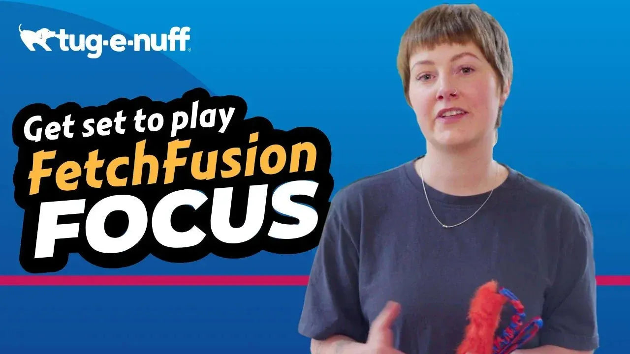 Fetch Fusion Focus Game to Play