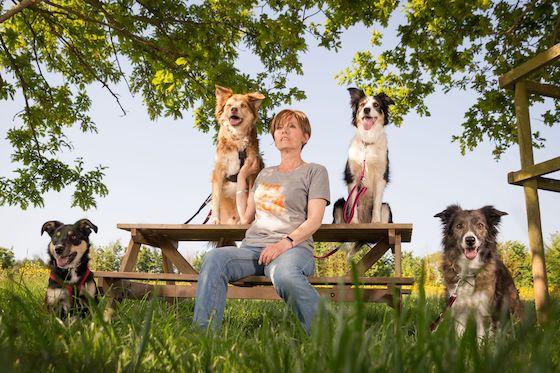 Should you get a second dog? Let's explore 6 pros and cons!