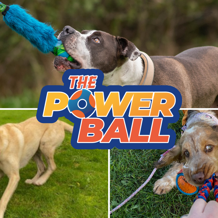 The Ultimate Dog Ball Toy: 3 Things You Should Know About Our PowerBall