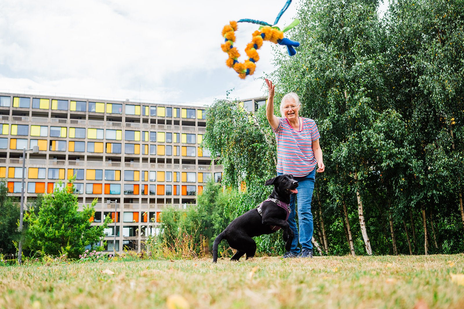 How To Teach Your Dog To Fetch In 5 Simple Steps