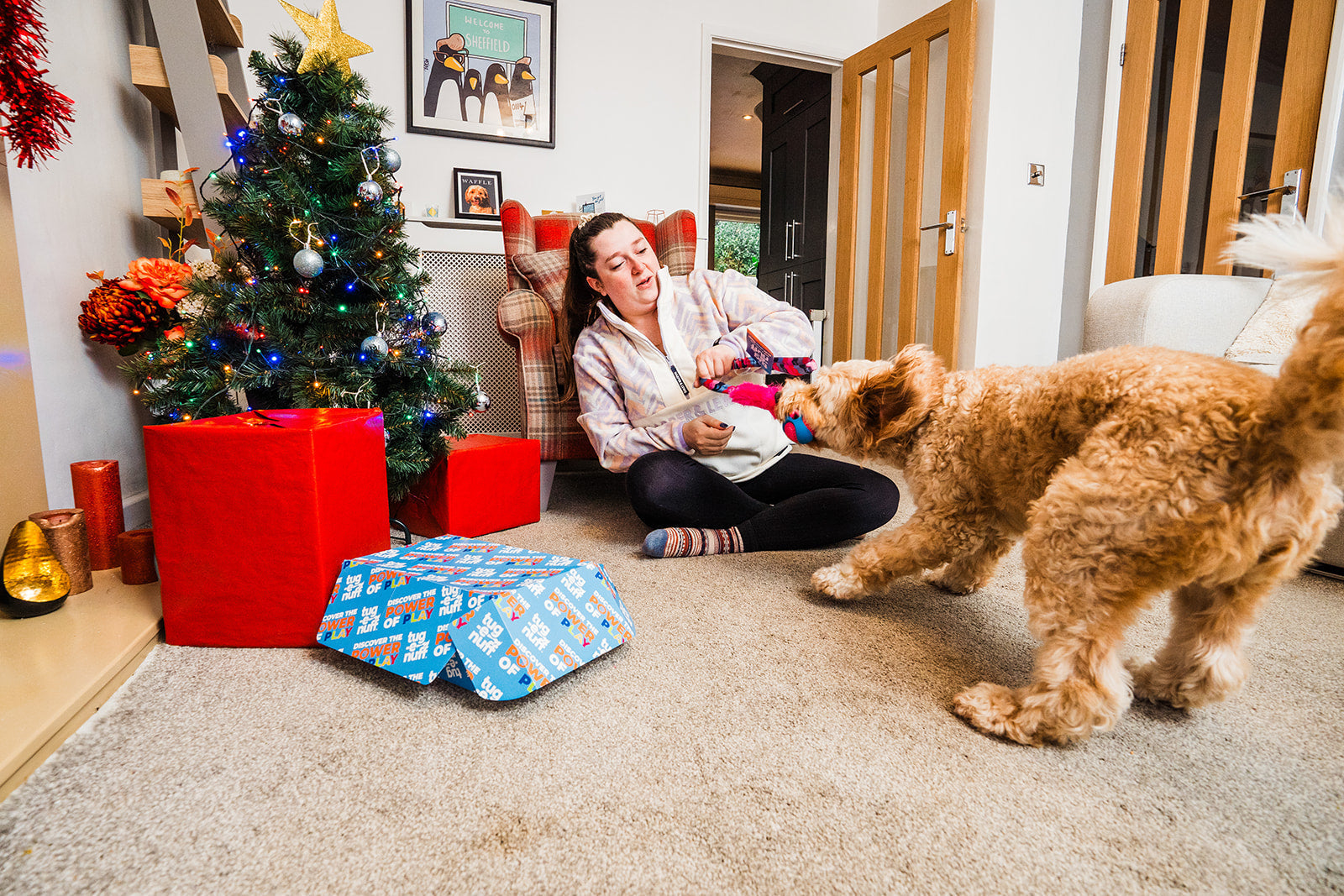 4 easy ways to calm your dog down at Christmas