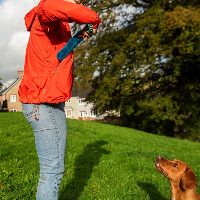 The Ultimate Outdoor Dog Toys: 5 Ways To Up Your Game When Out And About