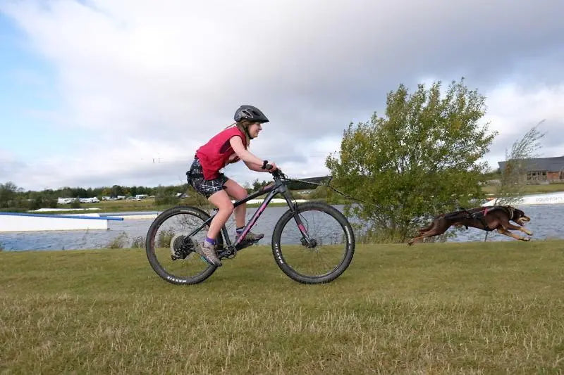 Bikejor - Dog and Bike Rider