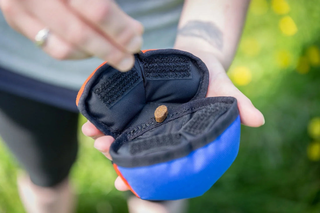 5 dog enrichment ideas - Turn mealtimes into training opportunities