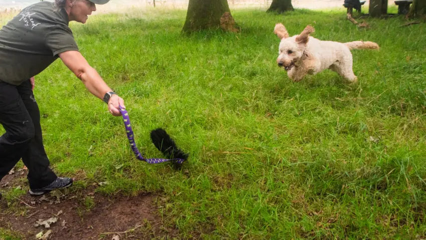 Dog Chasing Tug-E-Nuff Chaser Tug