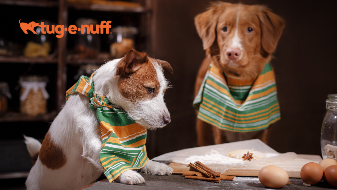 Easy Dog Christmas Treats Recipe: Cheesy Cookies