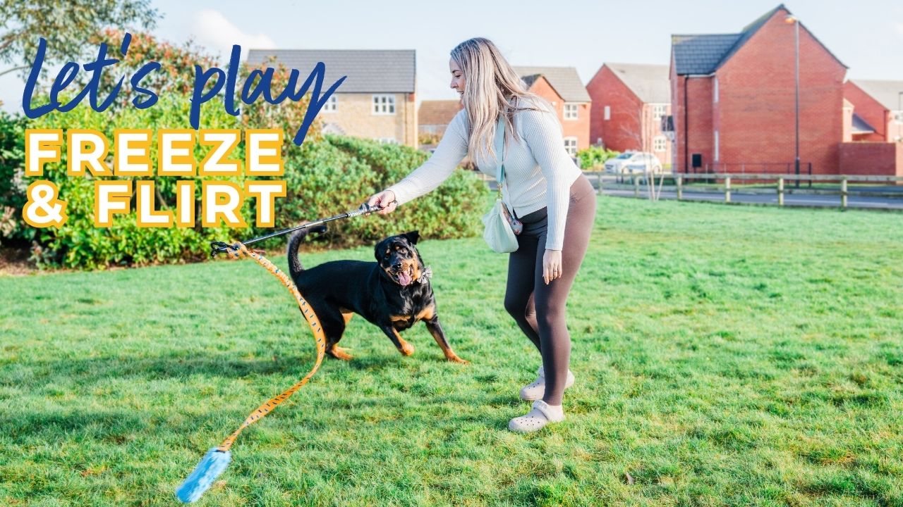 Freeze & Flirt: Unleash your dog's natural instincts in a fun way
