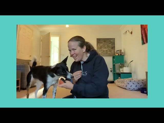 Helen Bannan - with dog