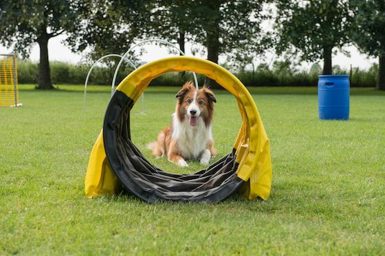 Hoopers: What’s It All About And Why Is It Suddenly So Popular?