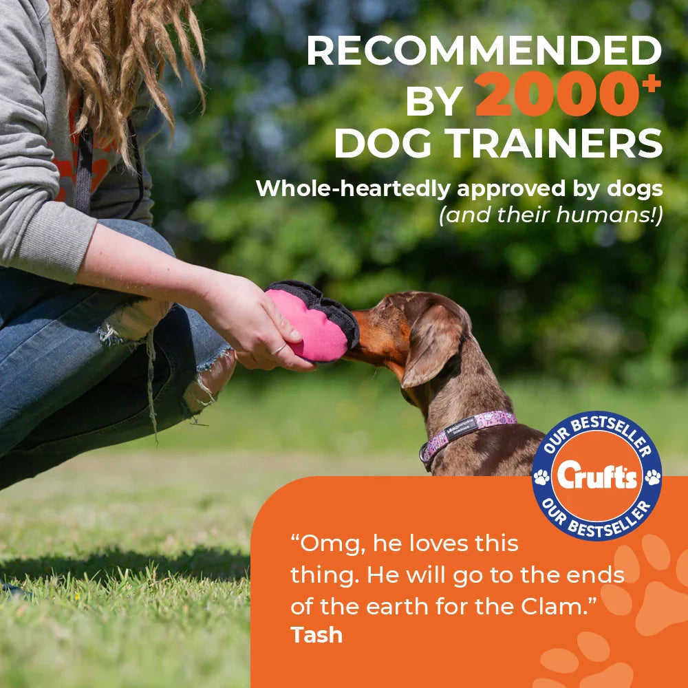 Toy Testers’ Verdicts: The Clam