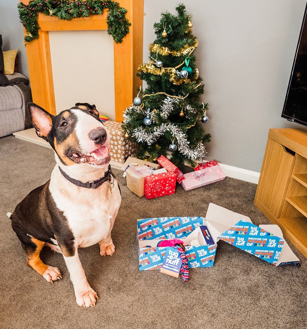 Dog Xmas Gifts Worth Woofing About - Tug-E-Nuff