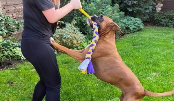 Fleece Toys - Tug-E-Nuff