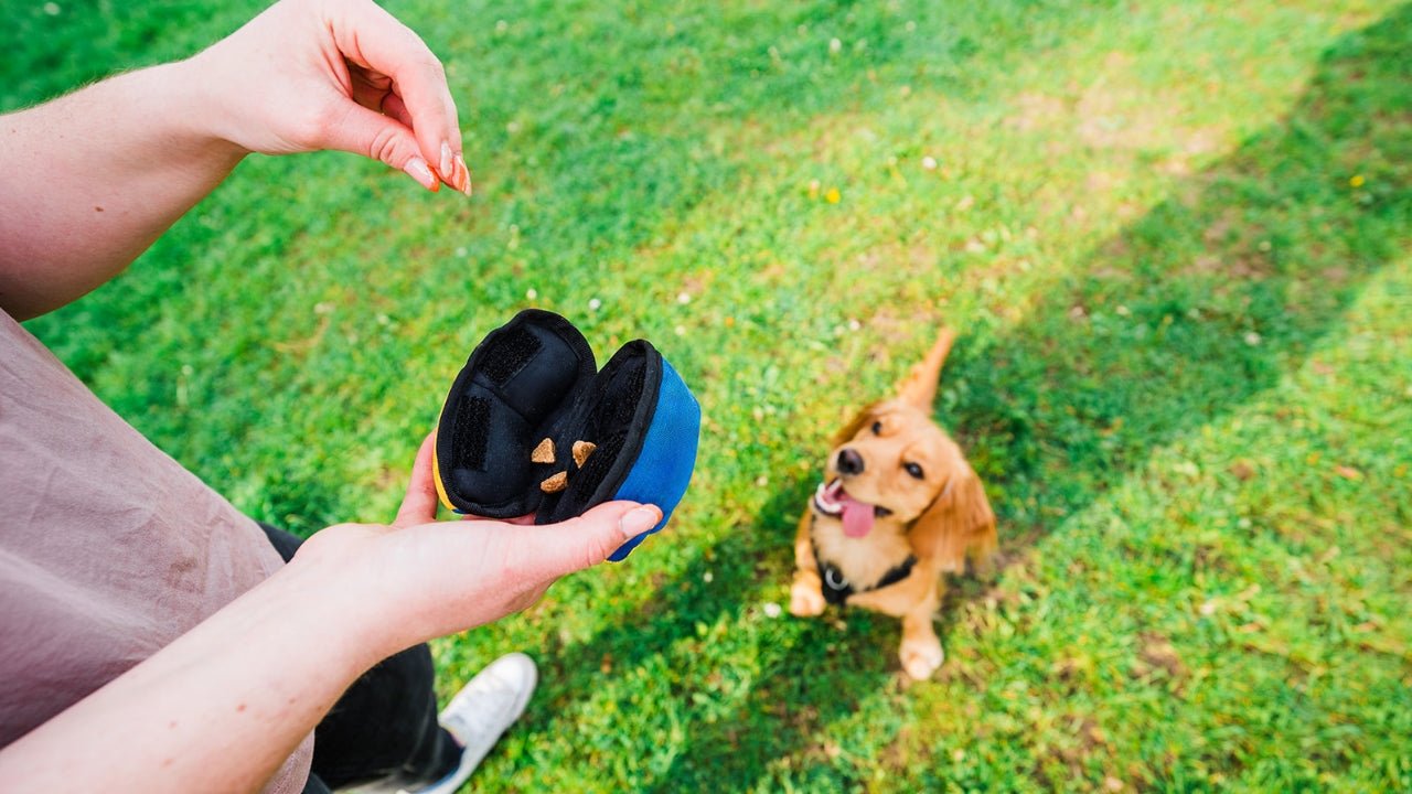 Treat Toys