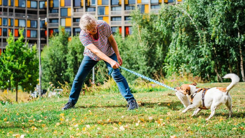 Chaser Toys - Tug-E-Nuff