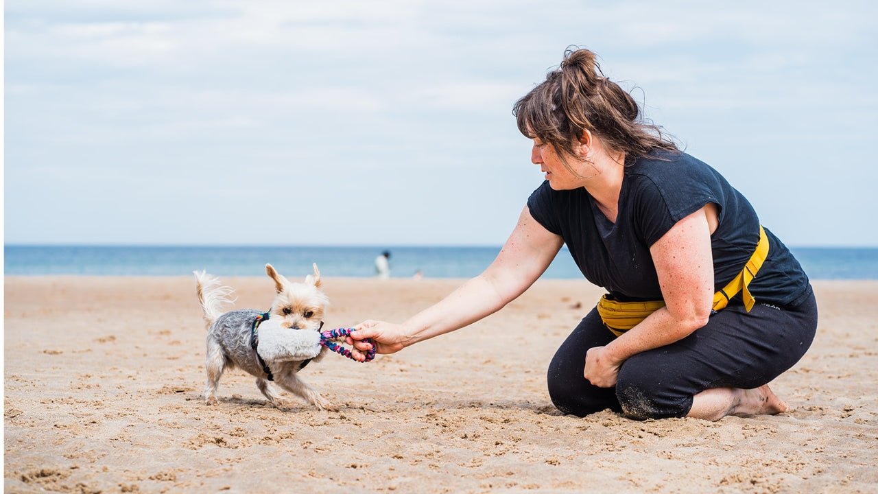 Squeaky Toys - Tug-E-Nuff