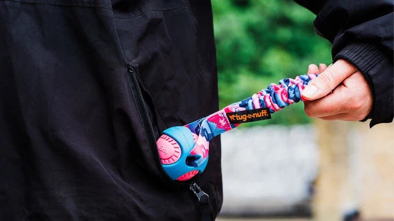 Outdoor Dog Toys