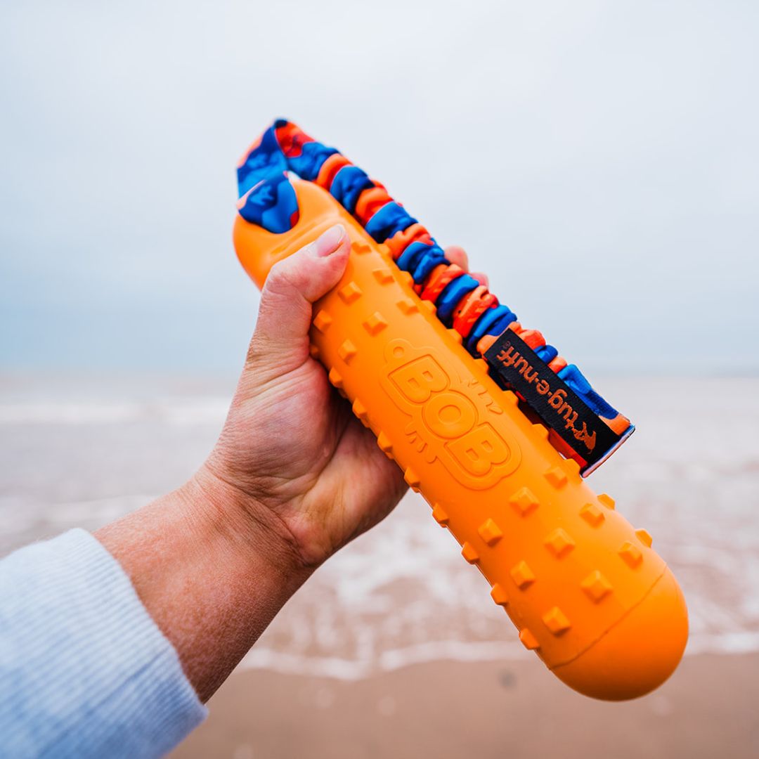 BOB: The 3-in-1 Dog Bumper