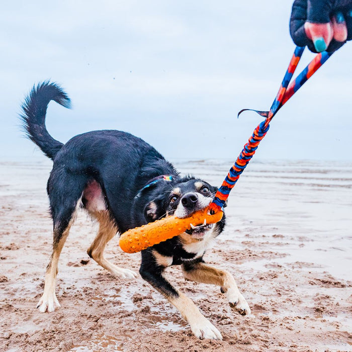 BOB: The 3-in-1 Dog Dummy