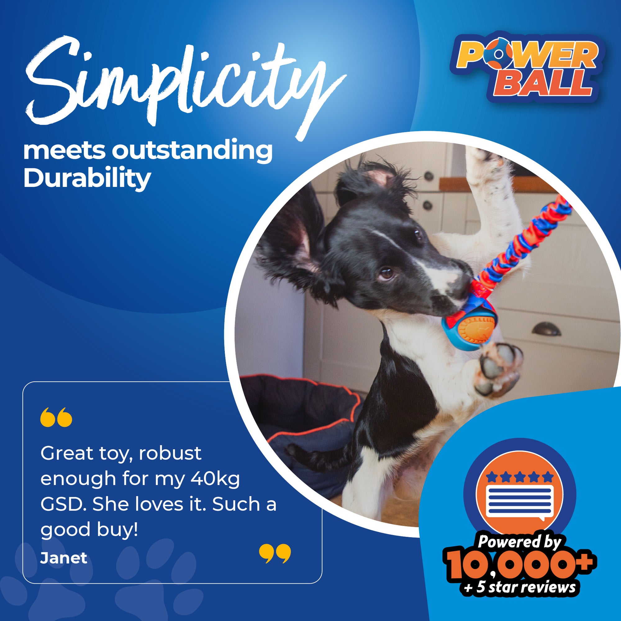 Active Dog Toys: Boost Your Pet's Playtime Fun