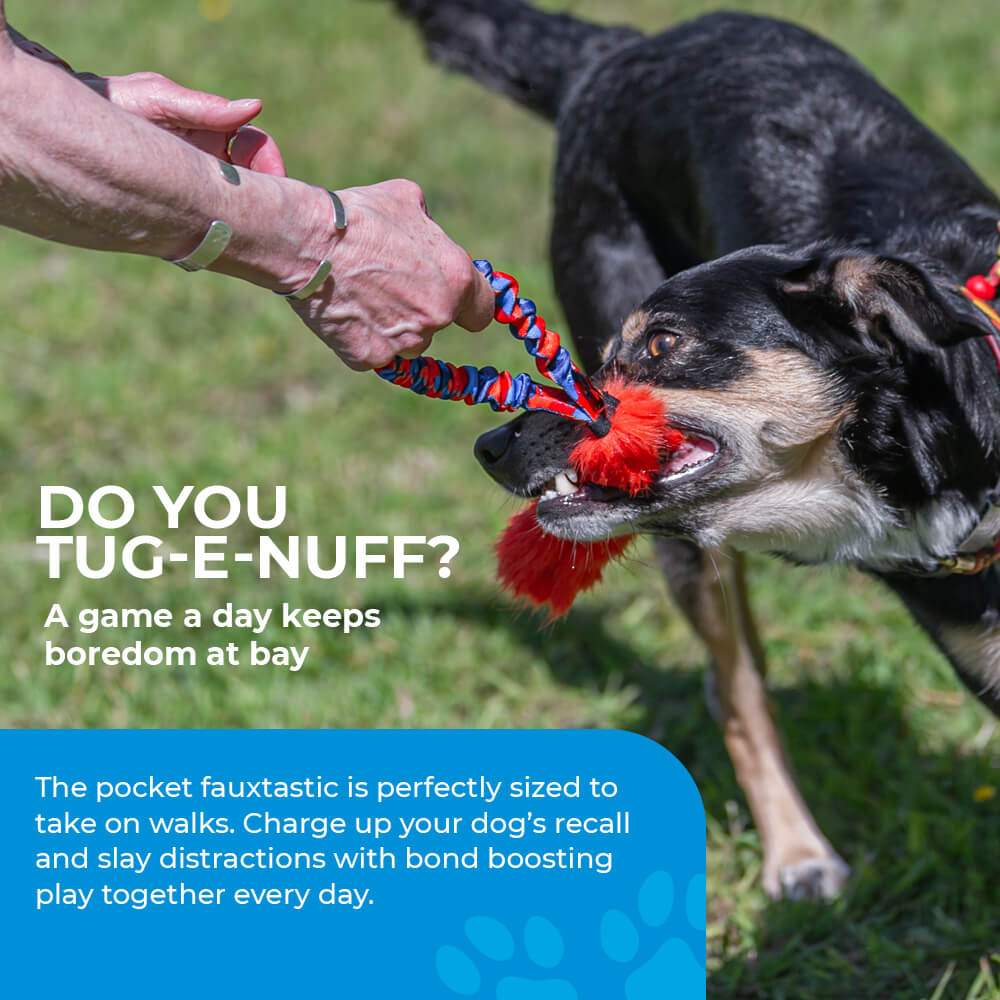 Guide to Playing Tug