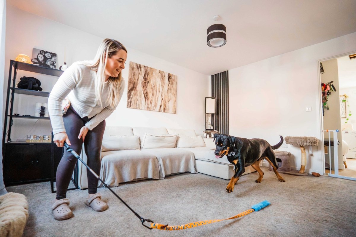 Whip It Flirt Pole Set