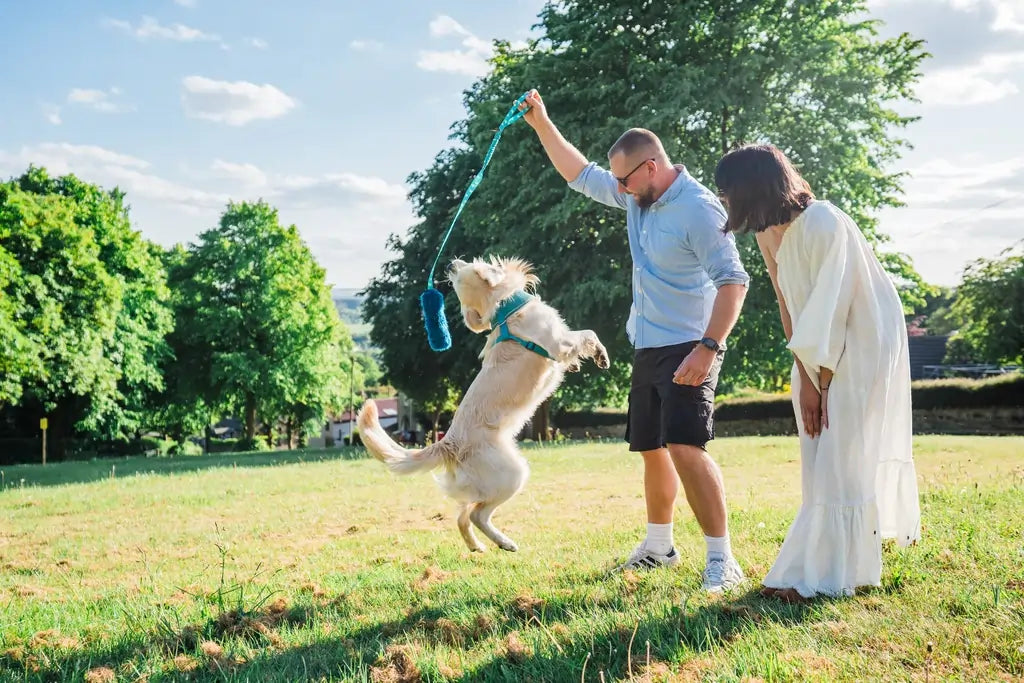 Couple with dog playing together and bonding.  Outside