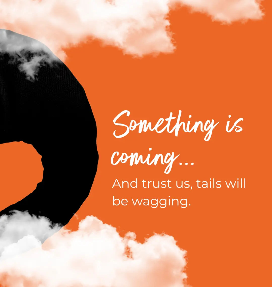 Something is coming - signup now