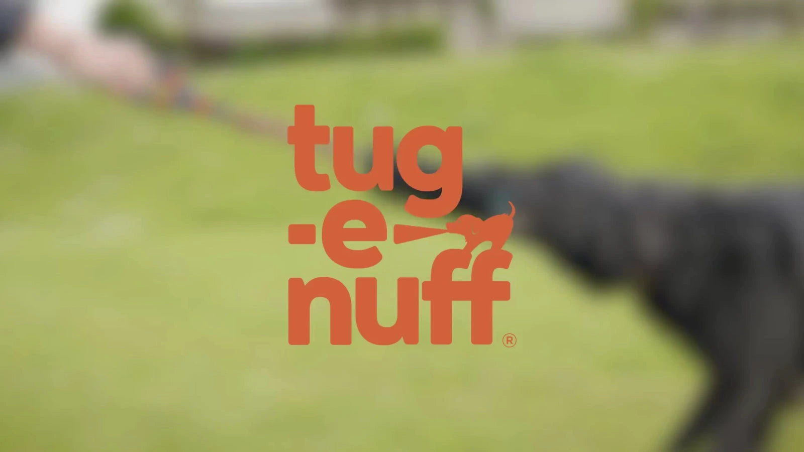Load video: About Tug-E-Nuff Video