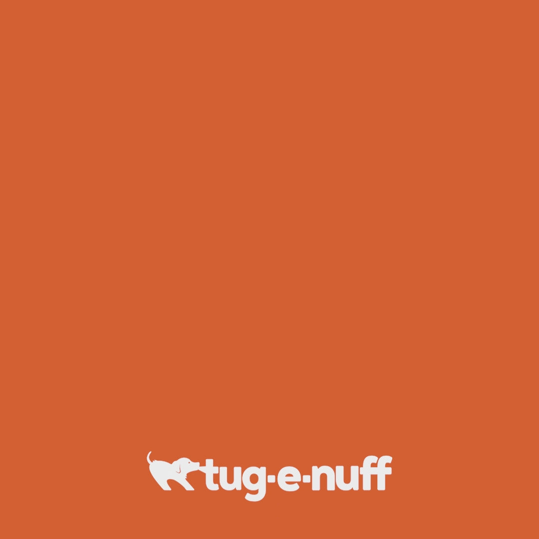 BOB: The 3-in-1 Dog Bumper