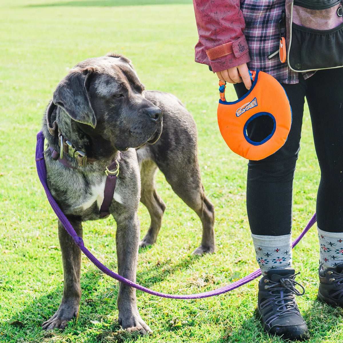 Tug-E-Nuff Aero-Tug Dog Frisbee - Great Dane with Owner in the Park