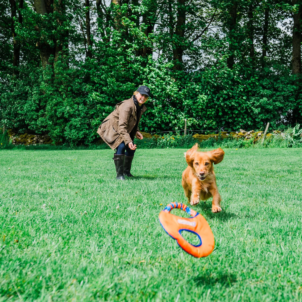 Tug-E-Nuff Aero-Tug Dog Frisbee - Cocker Spaniel Fetching Frisbee